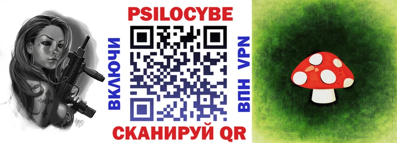 Псилоцибиновые грибы Cubensis  Лесосибирск 